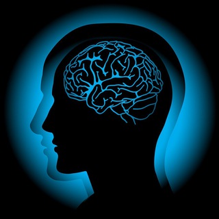 Умственное кино / Mind Movies
