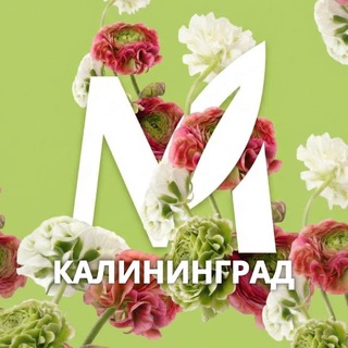 Мираторг Супермаркет | Калининград