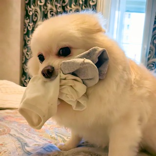 Блог, где всё не так