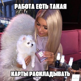 MMSN