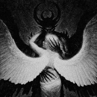 shapeless dreams