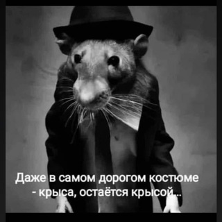 💎 MODNYASHKI💎 «VIP»Chat