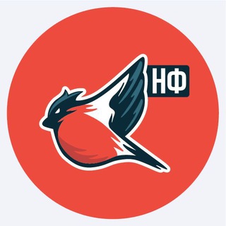 Молодёжка Народного Фронта