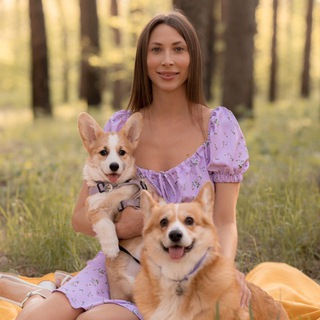mom.corgi