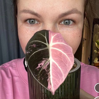 Momsterra🌱Инвестируй в зелёное