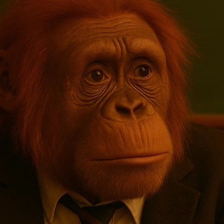 MonkeStore