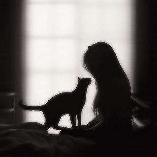 ʯυτατы🖤⛓️