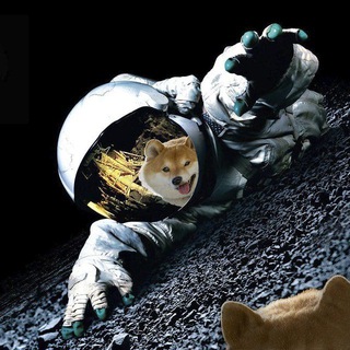 MOON SHIBA India