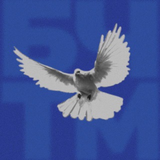 БЧТМ 2026