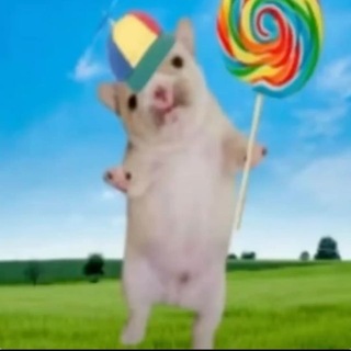 . m0rsyshh >_-