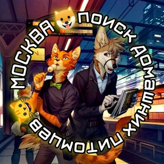 Москва 🔍 Поиск домашних питомцев «Человек и животные»