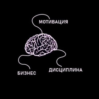 Мотивация vs Дисциплина | Бизнес