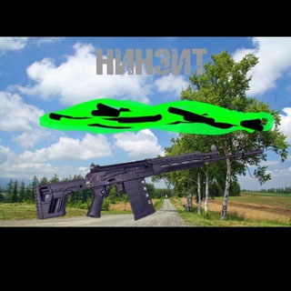 Нинзит