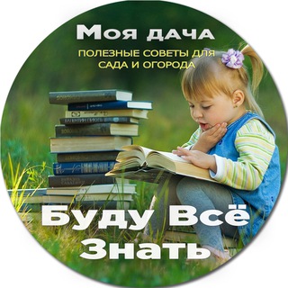 Моя дача | Буду Всё Знать - Полезные советы для сада и огорода