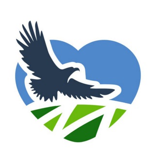 МОЗЫРЬ NEWS