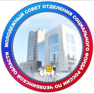 Молодежный Совет Отделения СФР по Челябинской области