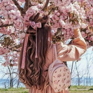 🌸 Muhabbatim 🌸
