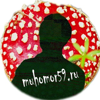 Мухомор59 | muhomor59.ru - Мухоморы с доставкой по России и Миру