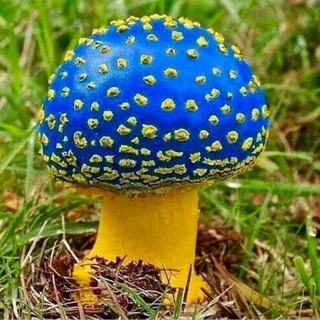 Мухомориха