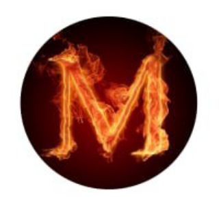 Musk No1 (MN1)- English