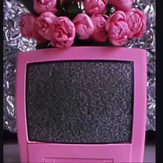 Musy Pusy flowers