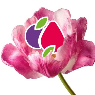 Мой ПРС💜
