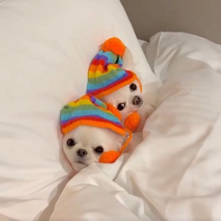Мы?