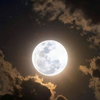 Mymoonshid