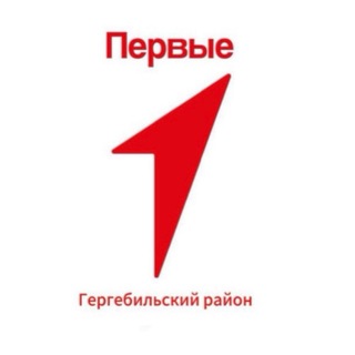 Движение Первых | Гергебильский район