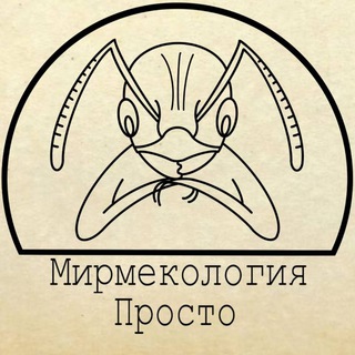 Мирмекология– Просто | Муравьи
