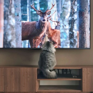 ТанинХаус