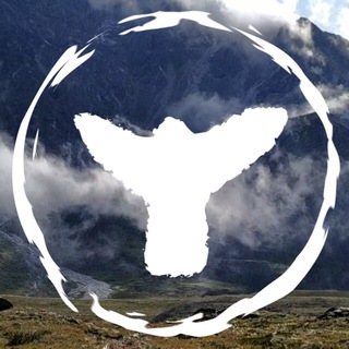 MyWildSiberia