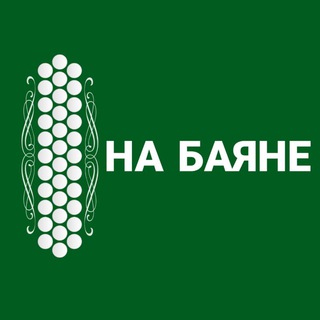 НА БАЯНЕ 🪗