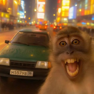 нафникдж