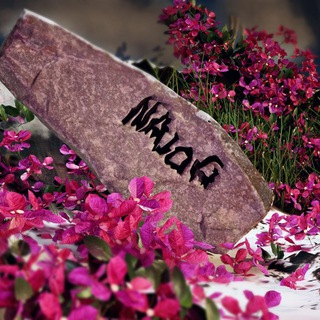 Najog