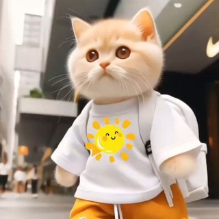 МАСТЕРСКАЯ НАНОJess