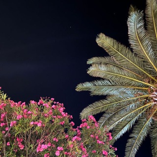 IKHLAS