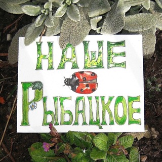 Наше Рыбацкое