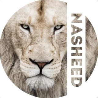 NASHEED 🎧