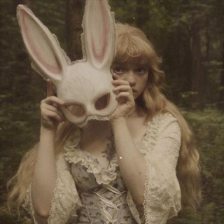just nastya's life