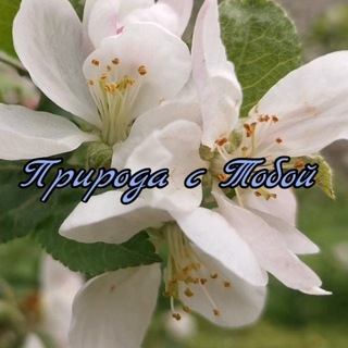 Природа с Тобой