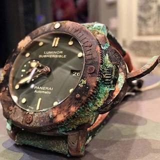 Nautilus