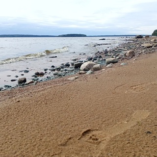 NaVolgo