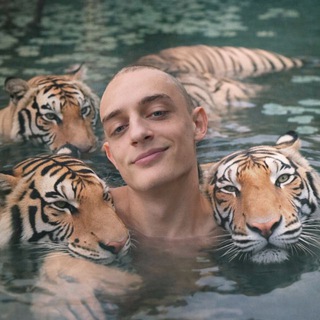 NAZARIK