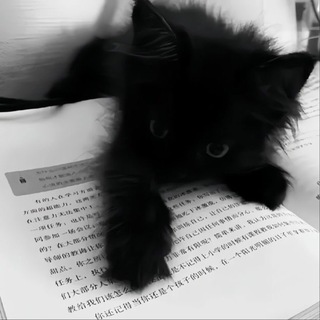 Лексунчик