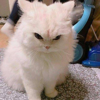 Потайное Логово Нека