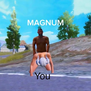MAGNUM PUBG MOBILE