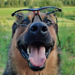 Немец Балу