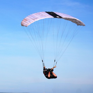 Ne Pro Skydive