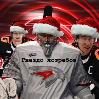 Гнездо ястребов 🪹🦅